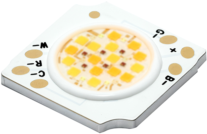 1313RGBW.png