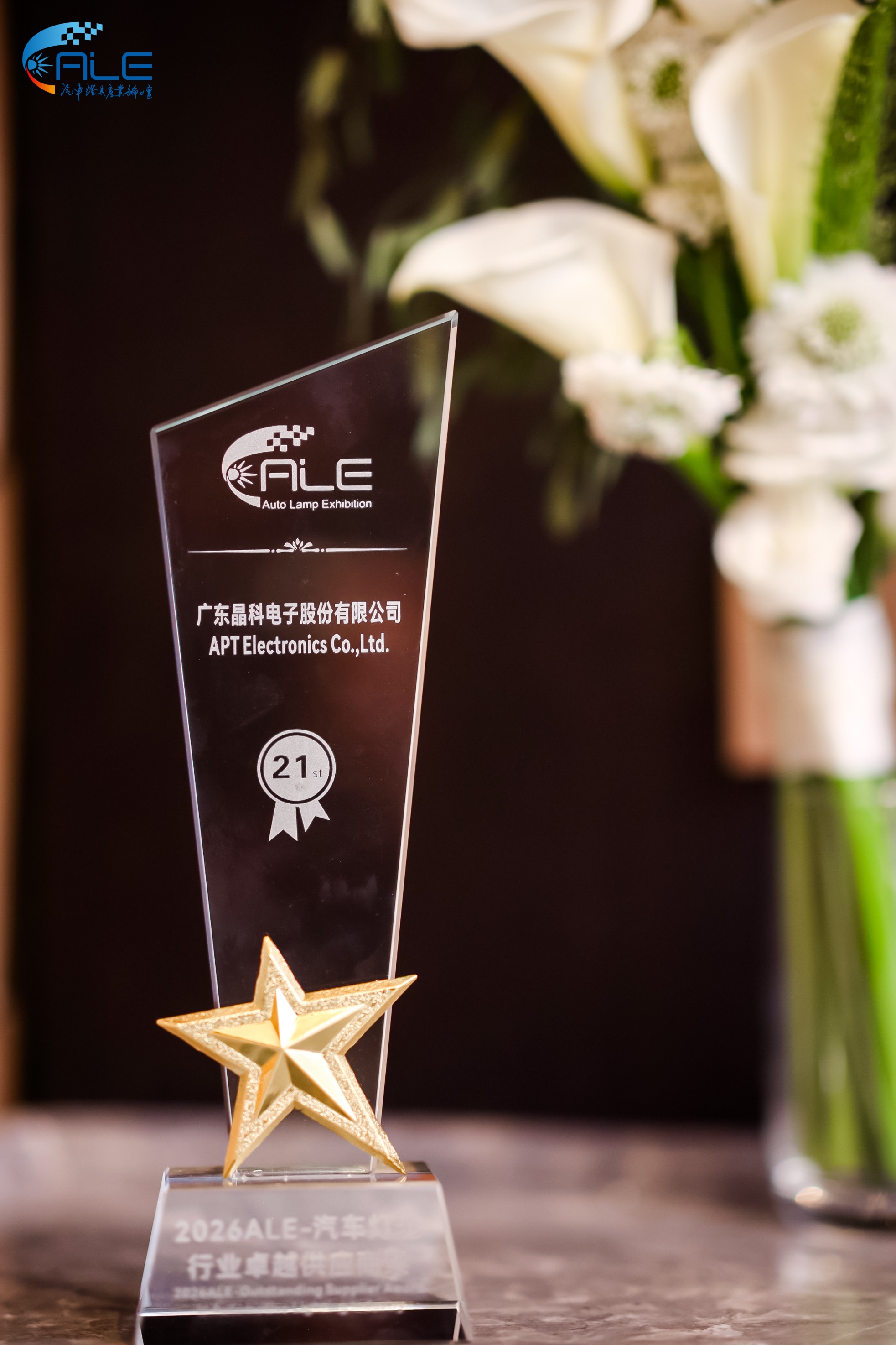 ALE奖-小.jpg