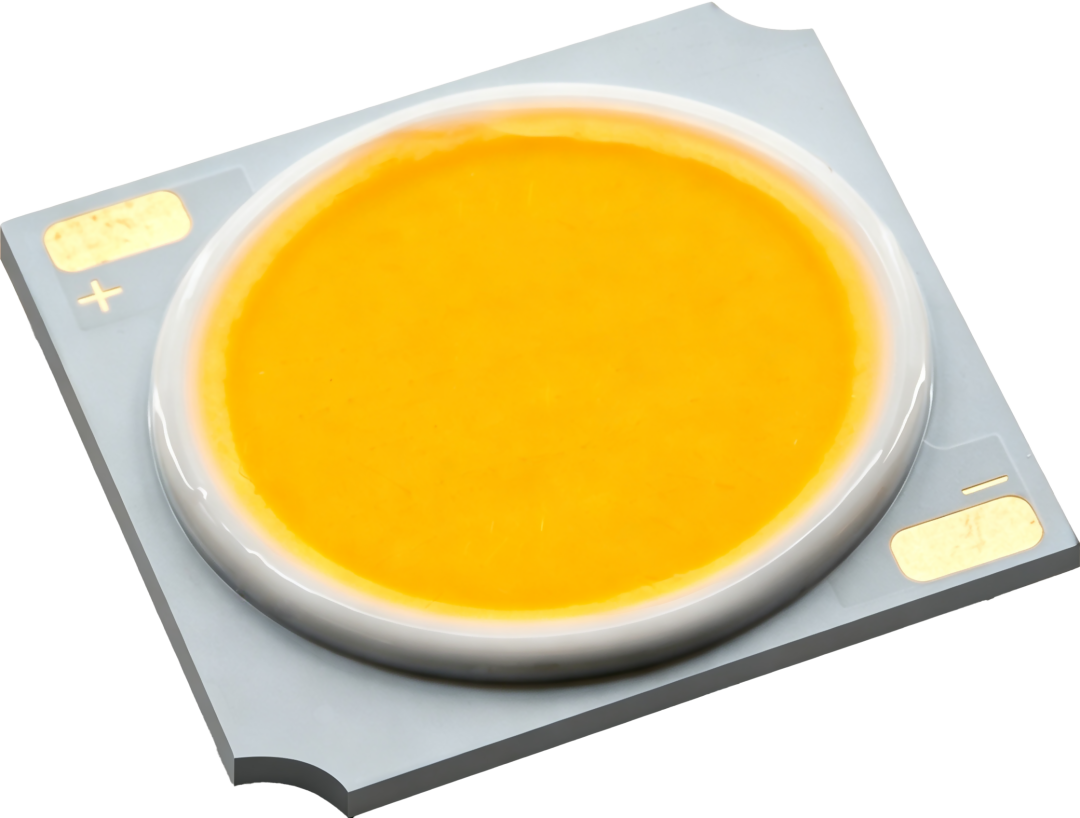 1919png.png