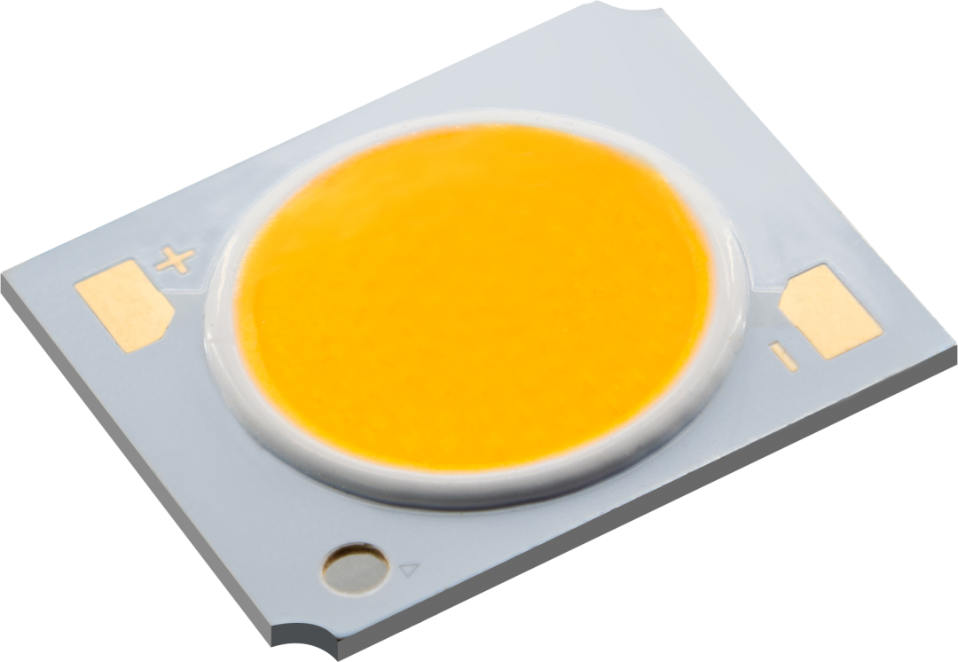 2024.png